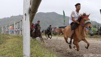 Lomba pacuan kuda digelar di Lapangan Pacu, Blang Bebangka, Kecamatan Pegasing, Takengon, Kabupaten Aceh Tengah. Kegiatan ini berlangsung sepekan yaitu 17-23 September mendatang (dok Disbudpar Aceh)
