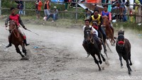 Beginilah aksi para joki muda Dataran Tinggi Gayo di event Gayo Alas Mountain International Festival 2018 (dok Disbudpar Aceh) 