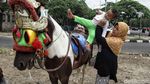 Delman Kembali Hadir Pasca Asian Games