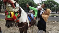 Delman dan kuda tersebut banyak diminati oleh anak-anak.