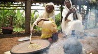 Untuk membuat kopi, para wanita Bonga menyangrai biji kopi mentah di atas lempengan tanah liat untuk dijemur di bawah sinar matahari (Thomas Lewton/BBC Travel)