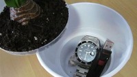 Bisa juga mengandalkan pot bunga di rumah. Letakkan bunga palsu di atas pot, dan voila tak akan ada yang tau ada barang berharga disimpan di dalam pot itu. Istimewa/Boredpanda.