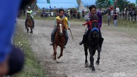 Pacuan kuda ini diharapkan dapat mengundang minat wisatawan untuk terus berkunjung ke Takengon, Bener Meriah, Gayo Lues dan Aceh Tenggara (dok Disbudpar Aceh) 