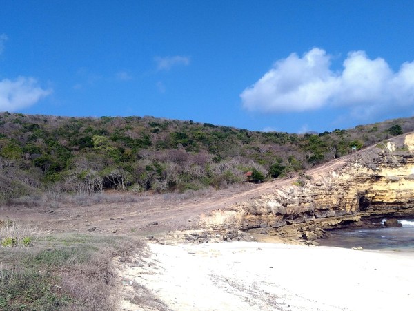 Di sisi timur pantai, traveler dapat menikmati pantai dari atas Bukit Bungkulan. Di sini traveler bisa menunggu matahari terbit atau terbenam. (Harianto/detikTravel) Di sisi timur pantai, traveler dapat menikmati pantai dari atas Bukit Bungkulan. Di sini traveler bisa menunggu matahari terbit atau terbenam. (Harianto/detikTravel)