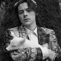 Konsep pemotretan juga bergaya renaissance dengan headpiece metal berbentuk daun yang menghiasi kepala Harry Styles. Ia juga mengenakan beberapa aksesori mewah seperti kalung rantai berbandul salib, cincin berbatu besar juga emblem bentuk macan. Foto: Dok. Gucci