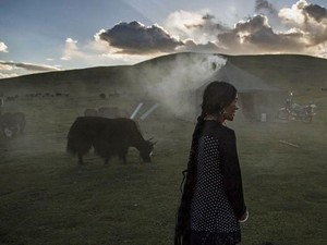Perubahan Iklim Mengancam Kehidupan di Atap Dunia Tibet