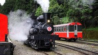 Pegunungan Alishan adalah penghasil teh oolong terbaik juga kopi di Taiwan. Dalam tur ini ada sesi mencicip teh hingga membeli langsung dari petannya dan jika tak ada traveler bisa mencobanya di kedai teh Stasiun Fenqihu (Maggie Wong/CNN Travel)