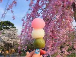 Instagramer Ini Punya Cara Keren Pamer Keliling Dunia