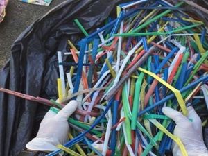 Anak Kecil Ini Pelopori Gerakan Antisedotan Plastik Lintas Benua
