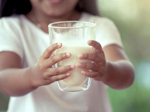 Benarkah Minum Susu Bisa Sebabkan Obesitas?