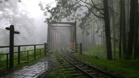 Tarifnya dihitung berdasarkan jarak mulai dari Rp 4.500 per kilometer, jika perjalanan dimulai dari Chiayi ke Fenqihu biayanya sekitar USD 12 atau Rp 178 ribu. Suasana berkabut di Alishan Forest Railway (Maggie Wong/CNN Travel)