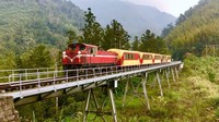Jika traveler dapat mengambil tur dari jalur utama dari Stasiun Chiayi ke Stasiun Fenqihu waktu tempuhnya sekitar 2 jam 20 menit. Lalu melanjutkan perjalanannya menggunakan bus dari Stasiun Fenqihu ke Stasiun Alishan (Liao Yuan-chiao/CNN Travel)