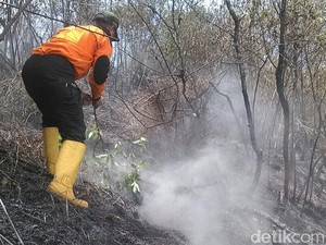Kebakaran Sindoro-Sumbing Padam, Warga Diimbau Waspadai Satwa Liar