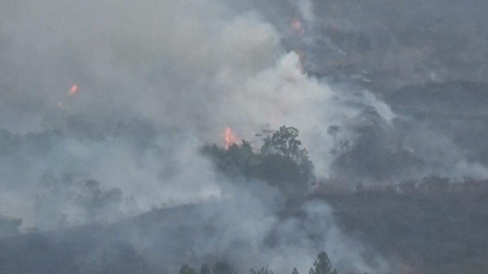 Hutan Desa Setianegara - Kebakaran Gunung Ciremai Di ...