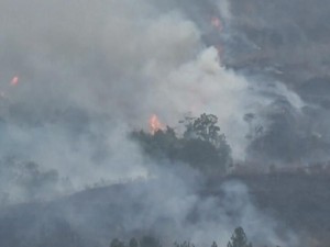 Lahan Seluas 87 Hektare di Gunung Ciremai Terbakar