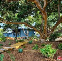 Pekarangan yang luas dipenuhi pepohonan dan tanaman tropis. Sementara bangunannya sendiri dicat warna biru kobalt yang cantik. Foto: Dok. Guest of a Guest/ MLS