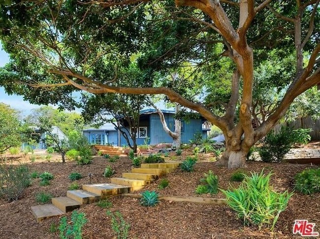 Pekarangan yang luas dipenuhi pepohonan dan tanaman tropis. Sementara bangunannya sendiri dicat warna biru kobalt yang cantik. Foto: Dok. Guest of a Guest/ MLS