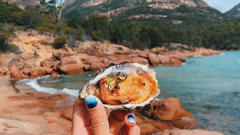 MeOyster dengan latar belakang Freycinet National Park, Tasmania, Australia. Foto: instagram.com/girleatworld/
