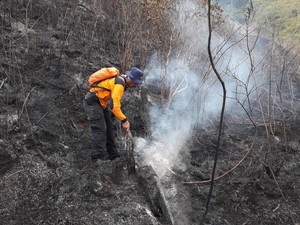Aparat Gabungan Selidiki Penyebab Kebakaran Gunung Ciremai