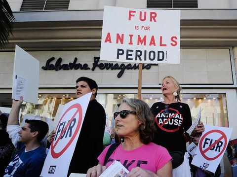 Kampanye antibulu digelar di depan butik Salvatore Ferragamo di Los Angeles pada 2011 silam.