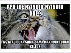 Meme Lucu Daftar CPNS