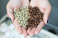 Di Festival Ini Bisa Cicip Kopi Nusantara Sekaligus Belajar Tentang Kopi