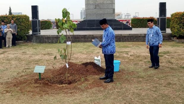 Anies juga menanam pohon jambu.