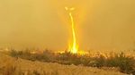 Ngeri! Ada Tornado Api di Kebakaran Lahan Kanada