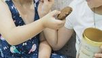 Gemasnya! Anak SD yang Doyan Makan Ini Bikin Ngiler Netizen