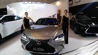 Cantiknya usherdi GIIAS Auto Show 2018 membuat mata pengunjung khususnya kaum lelaki salah fokus. Foto: Deny Prastyo Utomo