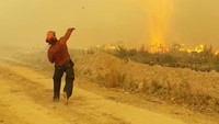 Tornado api terjadi saat petugas pemadam kebakaran tengah berusaha memadamkan api. INSTAGRAM @MAR.LOWSKY/via REUTERS. 