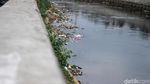 Potret Sampah di Pinggiran Ciliwung Saat Surut