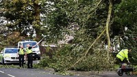 Angin kencang berkekuatan 100mph (160 km/jam) itu menumbangkan pohon-pohon di wilayah Ardrossan, Skotlandia. Badai Ali merupakan badai pertama yang menghantam wilayah Kepulauan Inggris musim ini. Jeff J Mitchell/Getty Images.