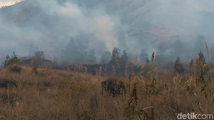 Hutan di Gunung Guntur Garut Terbakar