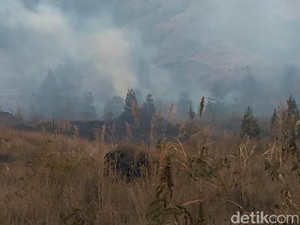 Hutan di Gunung Guntur Garut Terbakar