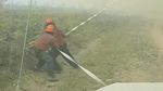 Ngeri! Ada Tornado Api di Kebakaran Lahan Kanada