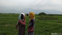 Traveler pun ingin mengabadikan keindahan padang rumput Rawa Pening lewat ponsel mereka (Eko/detikTravel) 
