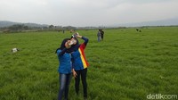 Para pengunjung yang datang ke New Sabana Rawa Pening pun tak membuang waktu untuk selfie. Mereka bisa selfie sepuasnya, karena untuk memasuki lokasi ini hanya cukup membayar parkir saja (Eko/detikTravel