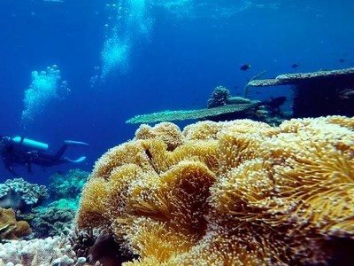Asyiknya Jelajah Wangi-wangi di Wakatobi Asyiknya Jelajah Wangi-wangi di Wakatobi