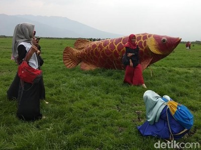 Viral Mendadak, Ini Dia New Sabana Rawa Pening Viral Mendadak, Ini Dia New Sabana Rawa Pening