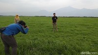 Kalau menurut kamu, cantik Rawa Pening saat kering atau saat berair? (Eko/detikTravel)