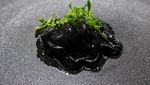 10 Hidangan Monokrom Keren Ini Dibuat Oleh Chef Asal Tokyo