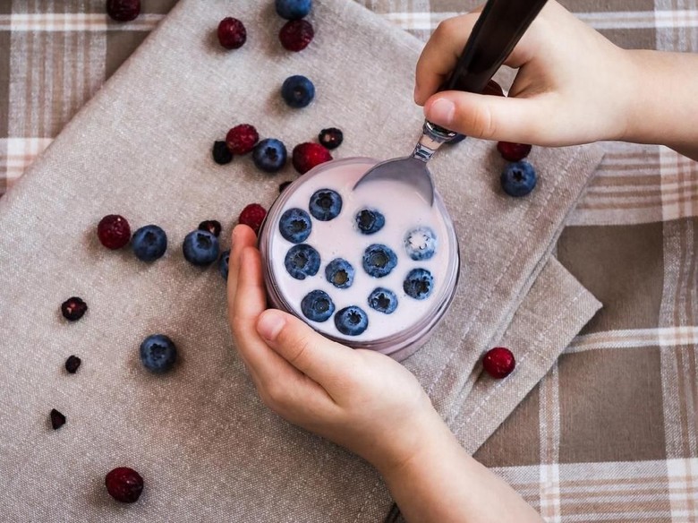 Hasil Penelitian Ungkap Jika Yogurt Bisa Jadi Pemicu Obesitas Hasil Penelitian Ungkap Jika Yogurt Bisa Jadi Pemicu Obesitas
