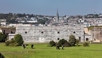 Untuk mempelajari bagaimana orang-orang yang tewas di pulau penjara ini, bio-arkeolog dari University College Cork, Profesor Barra ODonnabhain mulai menggali kuburan narapidana pada tahun 2013 (Spike Island Cork)