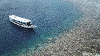 Lautan Wakatobi yang biru jernih (Zaky Fauzi Azhar/detikTravel)