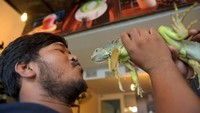 Meski banyak yang menentang dengan alasan sebaiknya ular dibiarkan hidup liar di alam, tetapi Chea Raty memastikan ular-ular yang dia pelihara dalam kondisi baik dan tidak membahayakan pengunjung. Kamu berani ke sini?  (AFP/GETTY IMAGES)