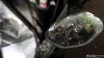 Ribuan Aparat Amankan Pengundian Nomor Urut Capres di KPU