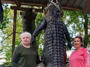 Nenek di AS Bunuh Aligator 263 Kg karena Makan Miniatur Kudanya