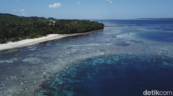 Foto ini diambil di atas Pulau Wangi-wangi. Terlihat jelas karang lautnya bukan? (Zaky Fauzi Azhar/detikTravel)