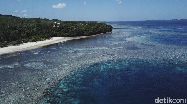 Foto ini diambil di atas Pulau Wangi-wangi. Terlihat jelas karang lautnya bukan? (Zaky Fauzi Azhar/detikTravel) Foto ini diambil di atas Pulau Wangi-wangi. Terlihat jelas karang lautnya bukan? (Zaky Fauzi Azhar/detikTravel)